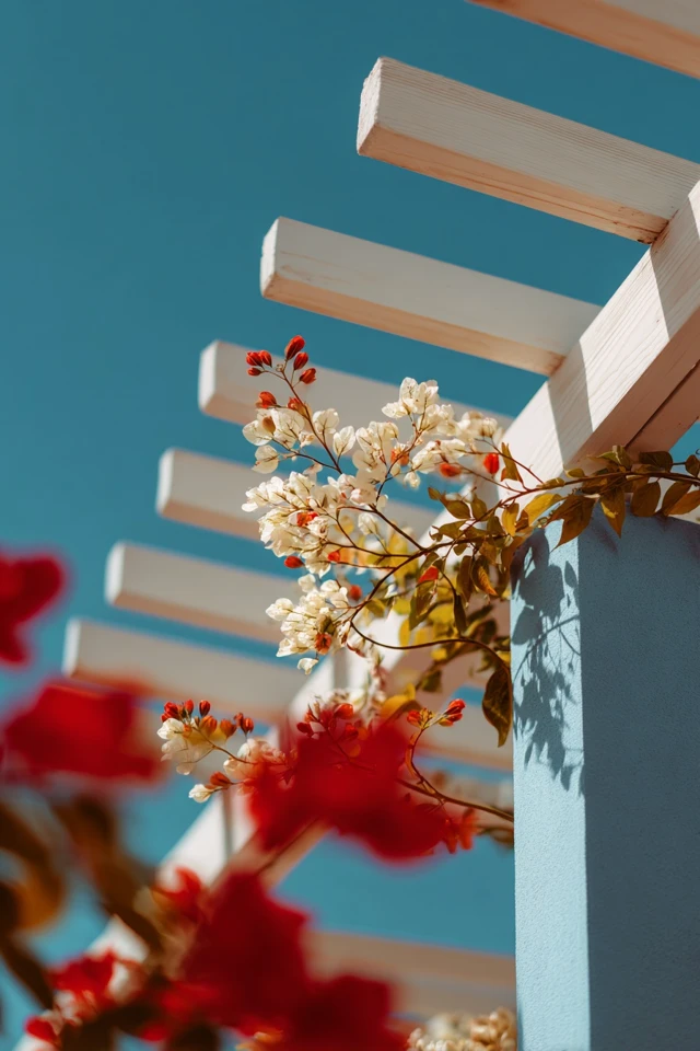 Pergola Ideas Aesthetic: Create a Look You’ll Love