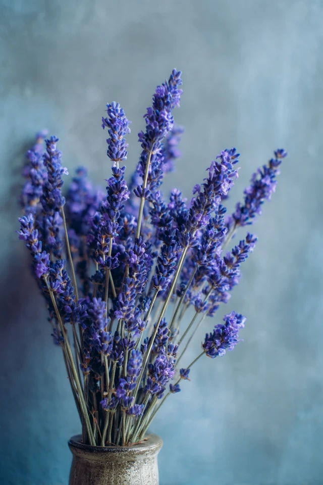 Lavender color scheme with earthy accents in a cozy modern room
