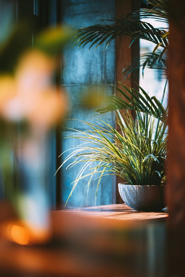 Divider Design Aesthetic: Create a Look You’ll Love