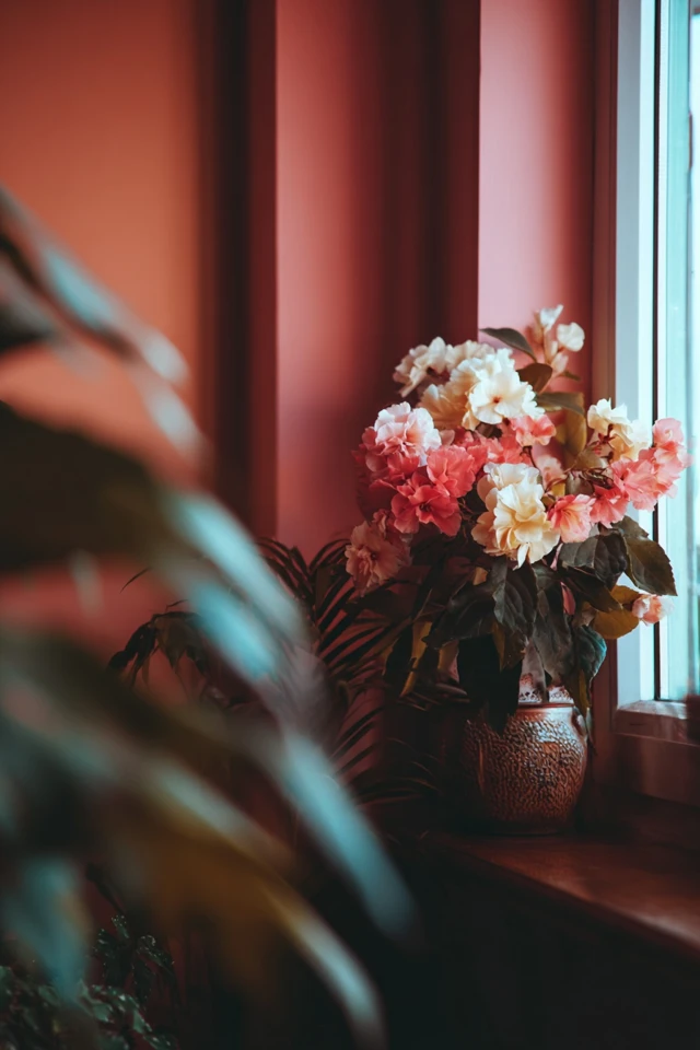 Elegant Corner Window Decor Ideas You’ll Love - photo 3