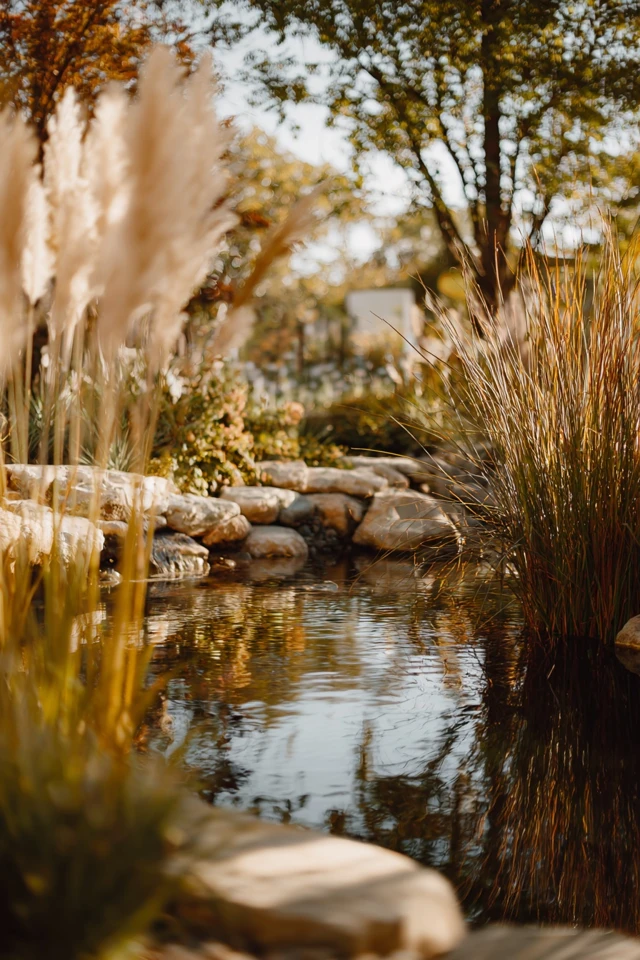 Compact garden pond with water plants and rocks along the rim