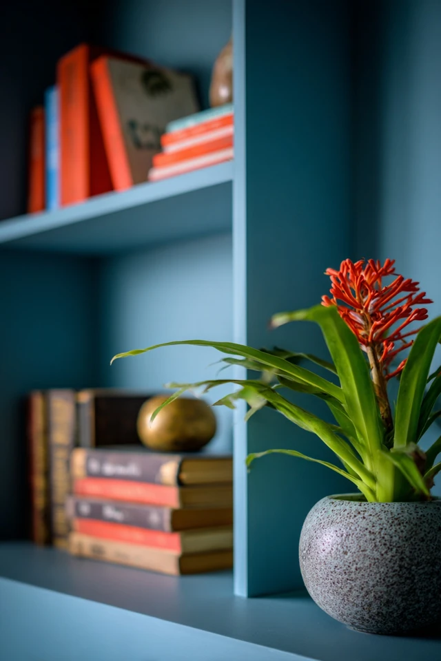 Bookcase headboard with shelves arranged with books, a lamp and decor in a bedroom