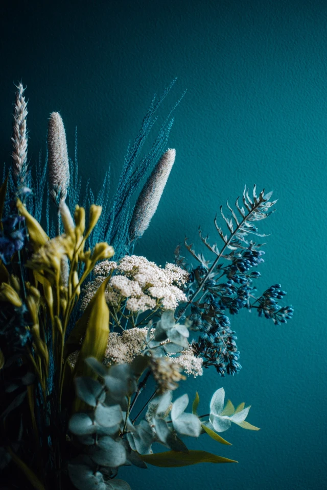 Teal Accent Wall Inspiration to Transform Your Space - photo 4