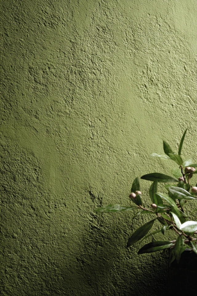 Olive Green Color Inspiration to Transform Your Space - photo 4