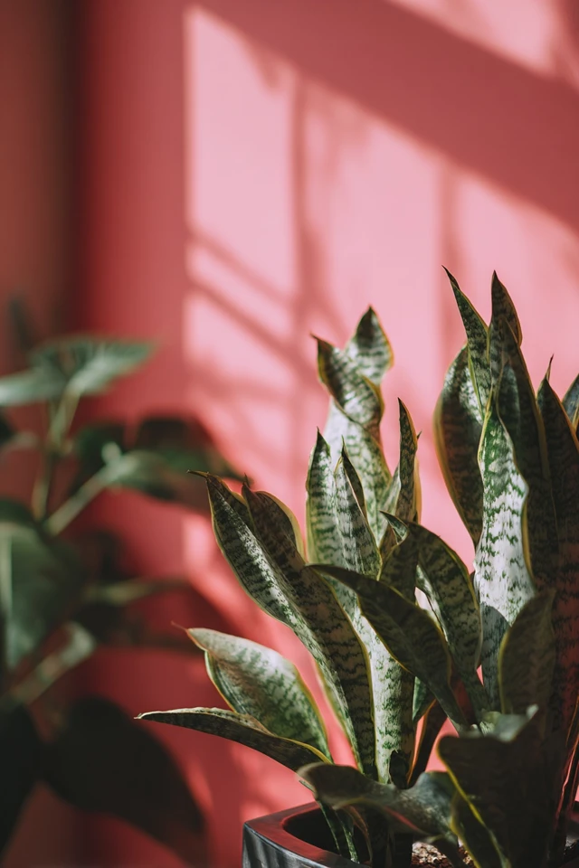 Fresh Indoor Vertical Garden Decor Tips to Elevate Any Room - photo 4