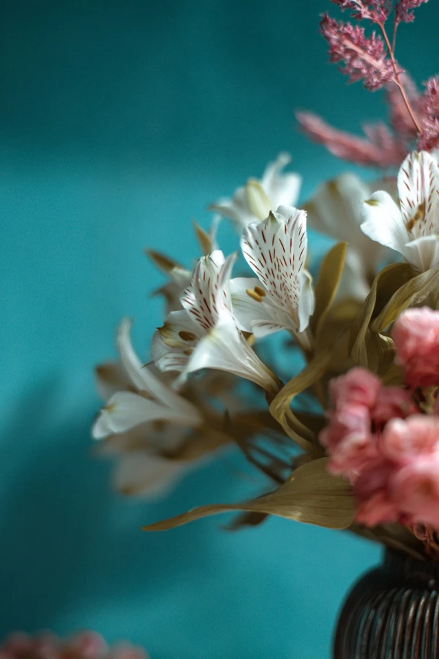 Shabby Chic Definition Inspiration to Transform Your Space - photo 5