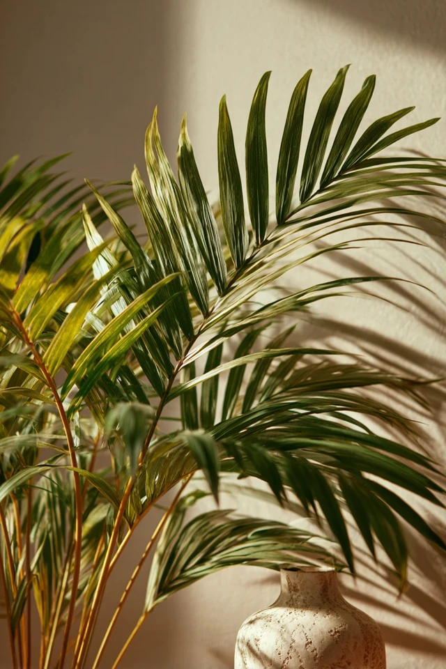 The Best Tropical Rooms Ideas Trends to Try This Year - photo 5